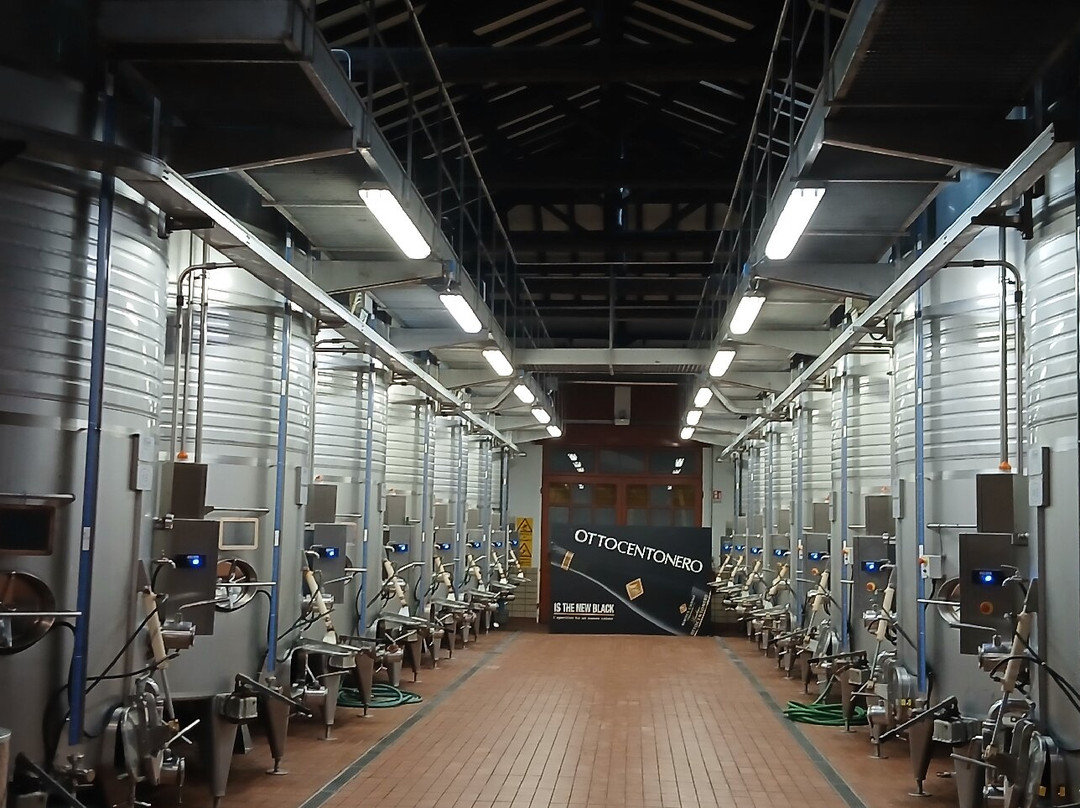 Cantina Albinea Canali-Canali必去景点