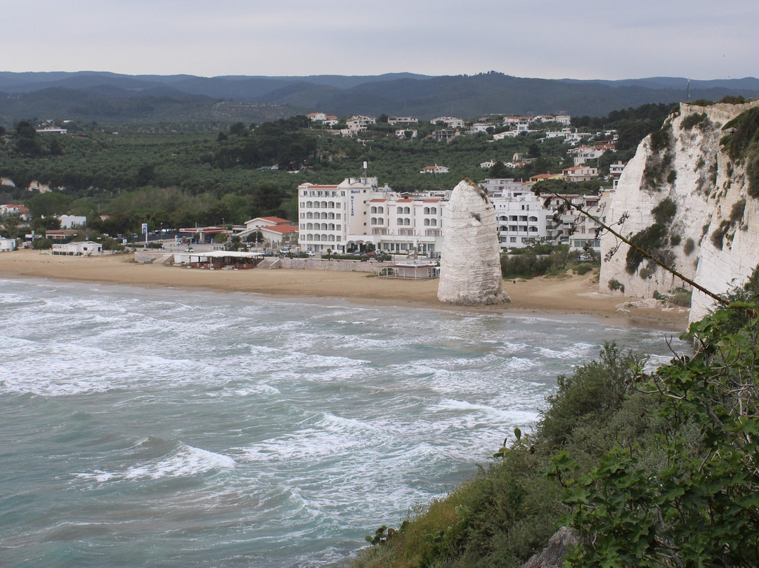 Spiaggia del Pizzomunno-维耶斯泰必去景点