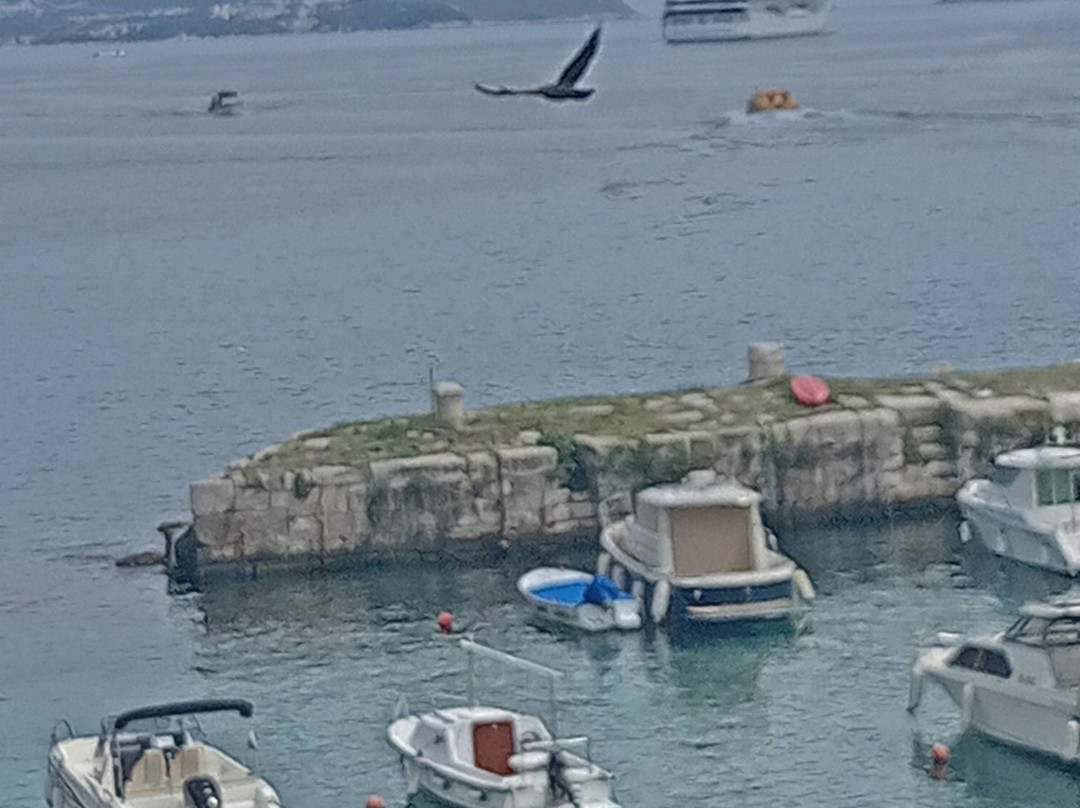 阿米内斯维瓦尔格兰德阿祖尔酒店主图