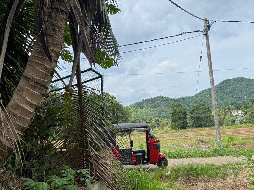 Coco Travels-Kalawana必去景点