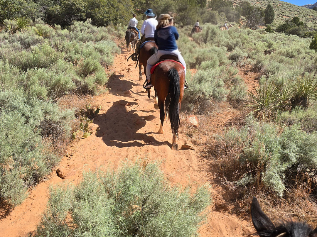 Canyon Trail Rides-锡安国家公园必去景点