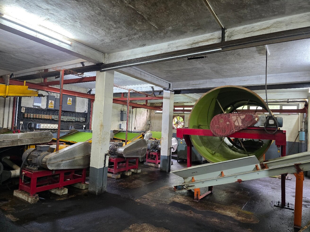 Bois Cheri Tea Factory and Tea Museum-Bois Cheri必去景点