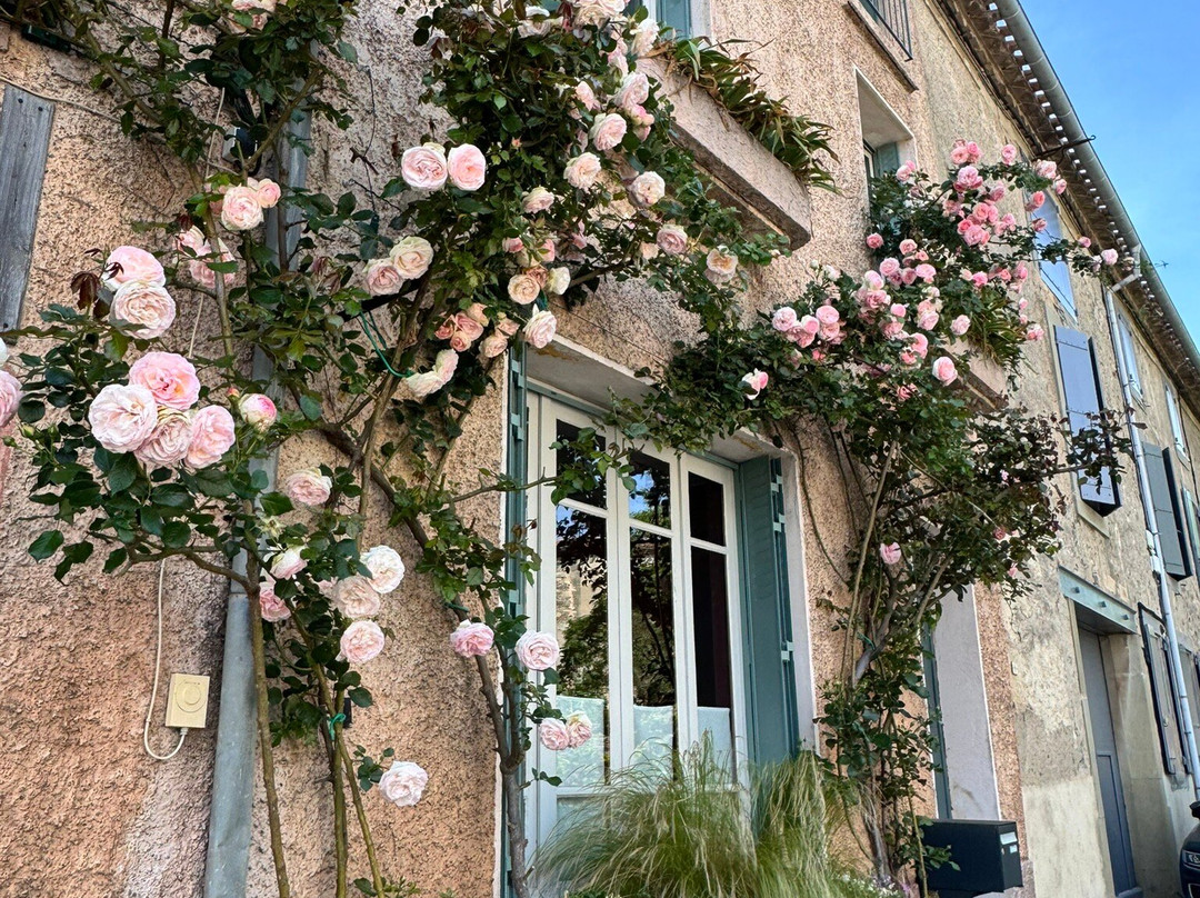 Hôtel d'Alibert主图