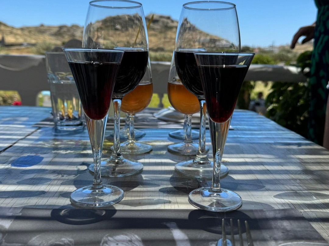 Mykonos Vioma Organic Farm-阿诺梅拉村必去景点