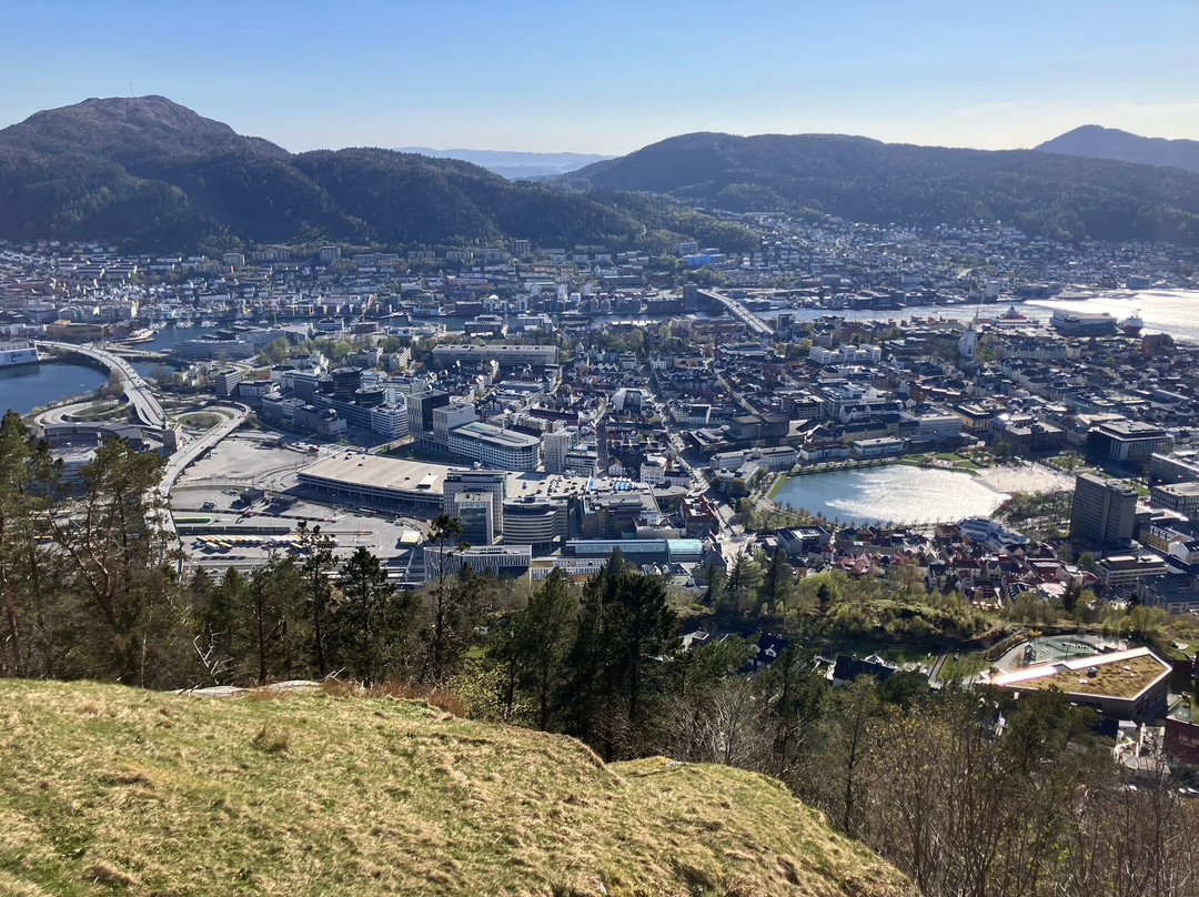 Lille Lungegaardsvannet-卑尔根必去景点