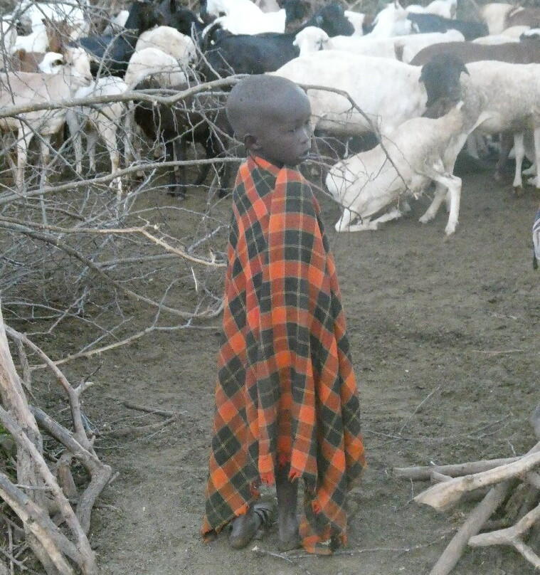 Karamoja Wilderness Expeditions-Moroto必去景点