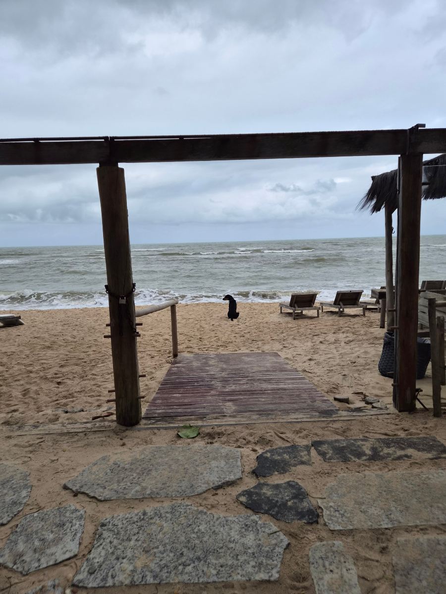 卡兰波拉酒店-旅行者