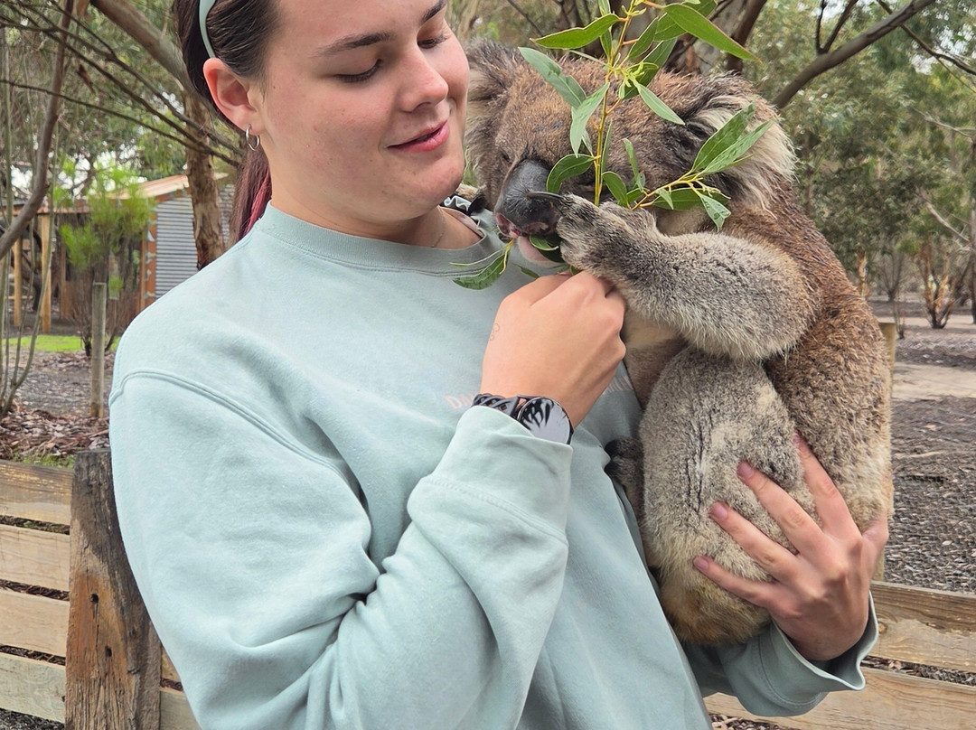 Kangaroo Island Wildlife Park-塞登必去景点