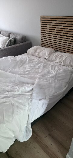 雷克布拉夫套房酒店主图