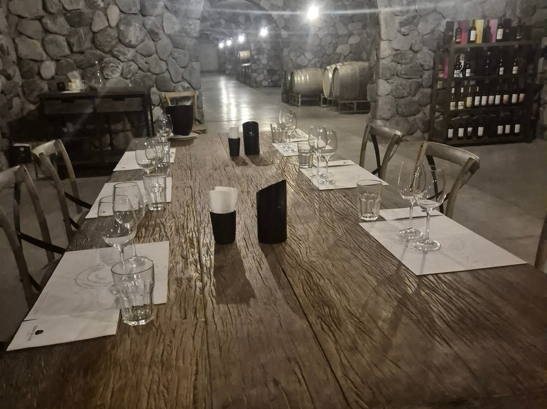 Viñas En Flor Bodega-卡法亚特必去景点