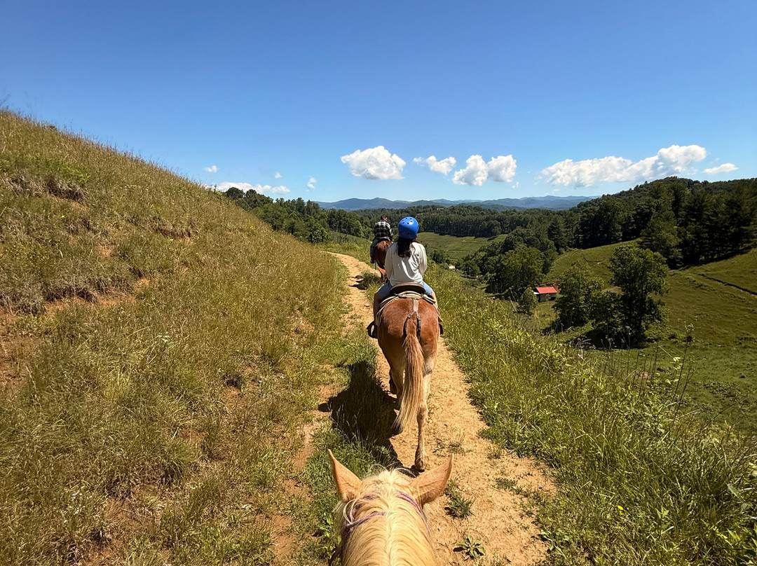 Sandy Bottom Trail Rides-Marshall必去景点