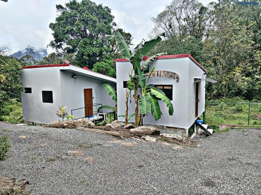 The Chicken House