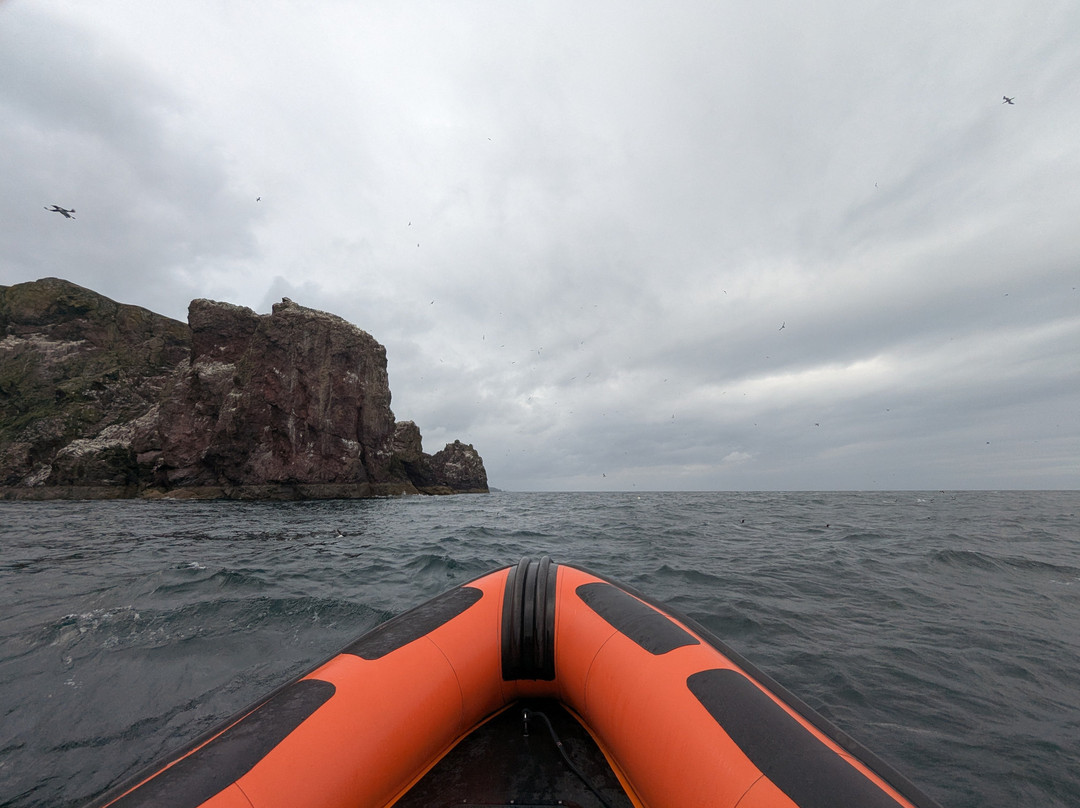 Eyemouth Rib Trips-Eyemouth必去景点