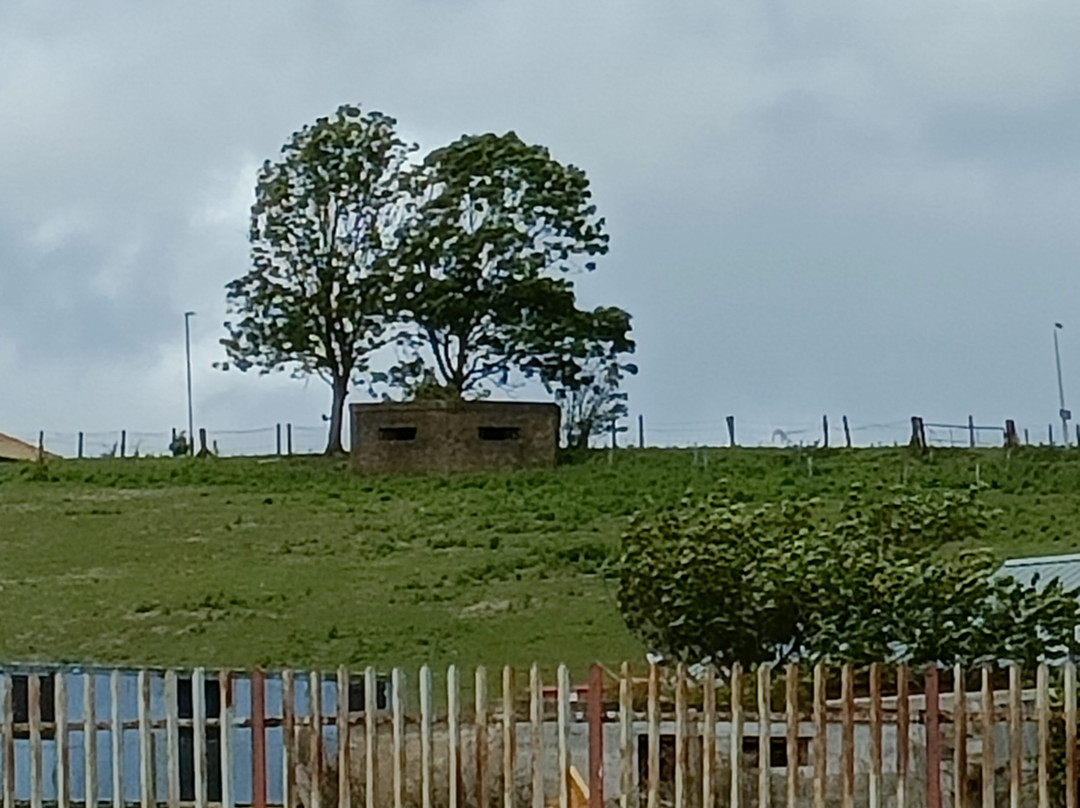 Eastchurch Aviation Museum-Eastchurch必去景点