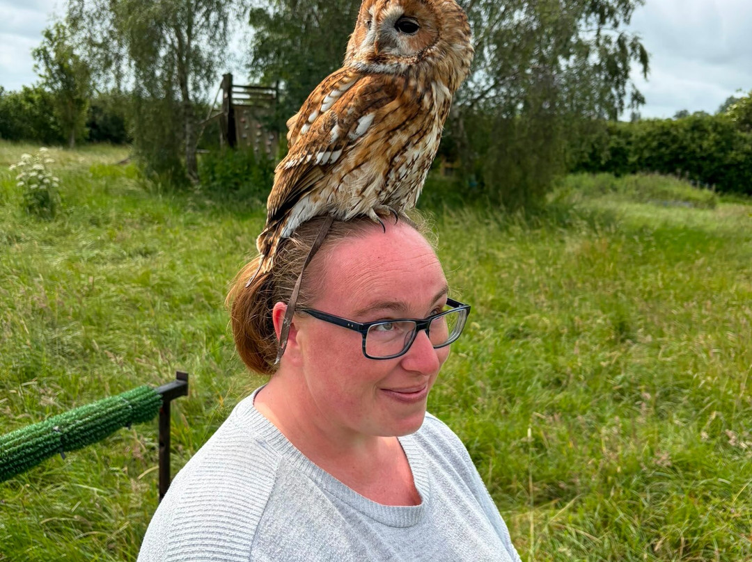Bird on the Hand Falconry Experiences-Church Langton必去景点