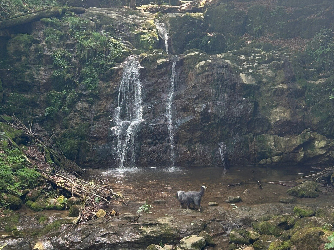 Wildkar Waterfall-湖瀚姆必去景点