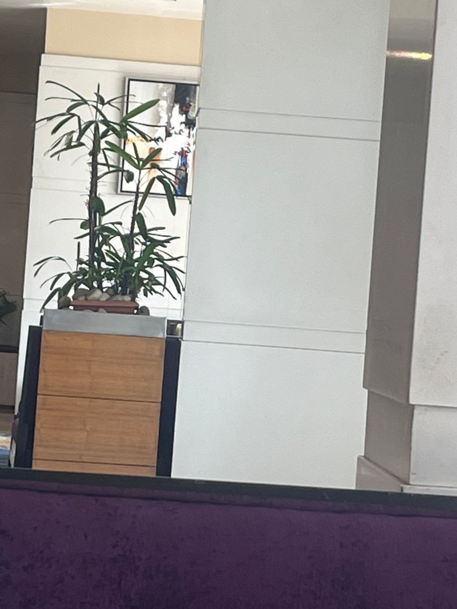 昌迪格赫穆特酒店-旅行者