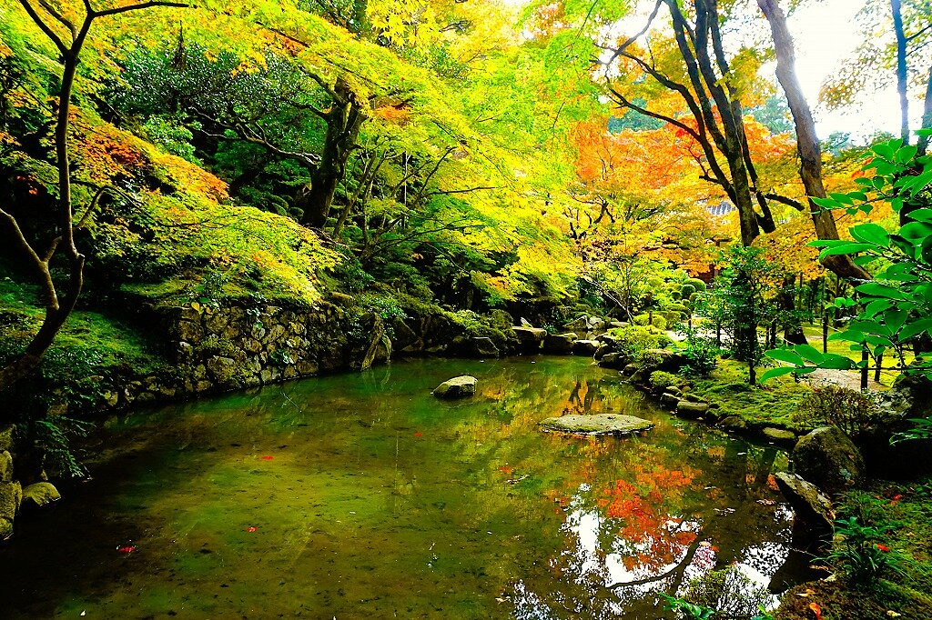 Kongorin-ji Temple-爱庄町必去景点