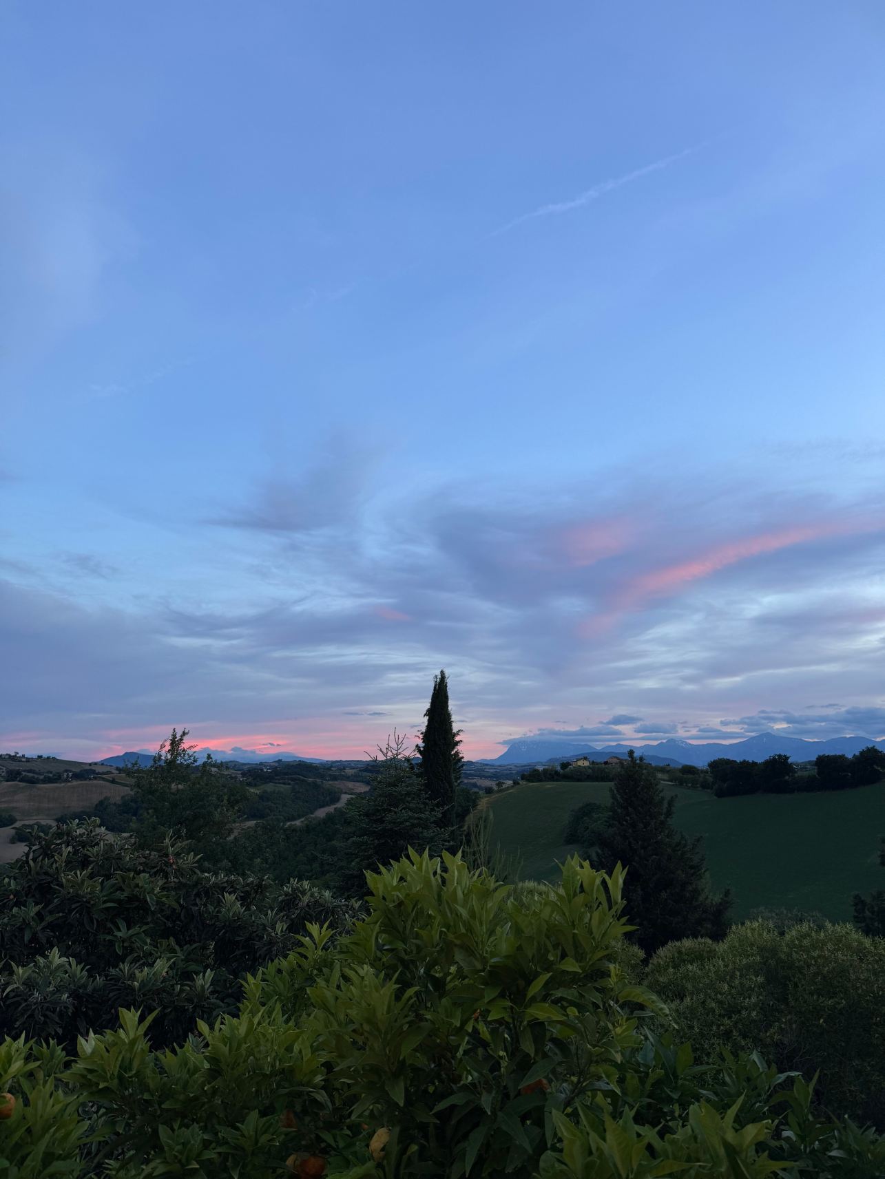 Il Melograno Country Resort-旅行者
