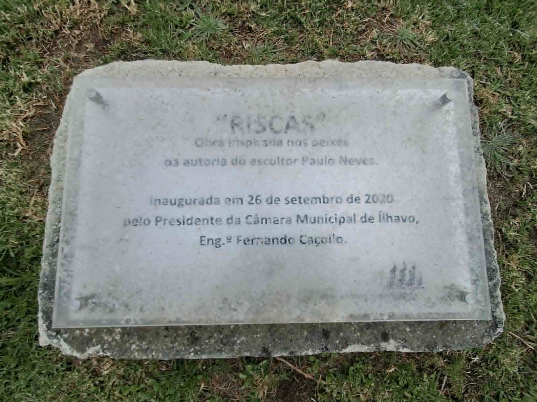 Rotunda dos Peixes-Costa Nova必去景点