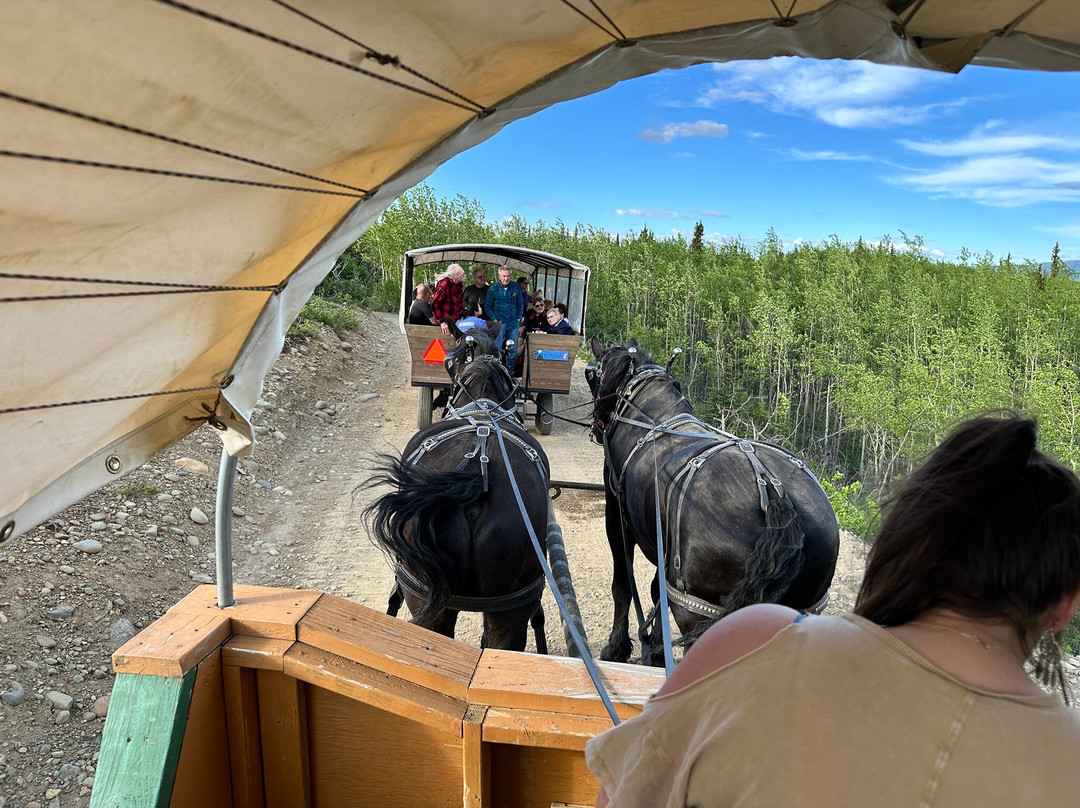 Denali Black Diamond Covered Wagon