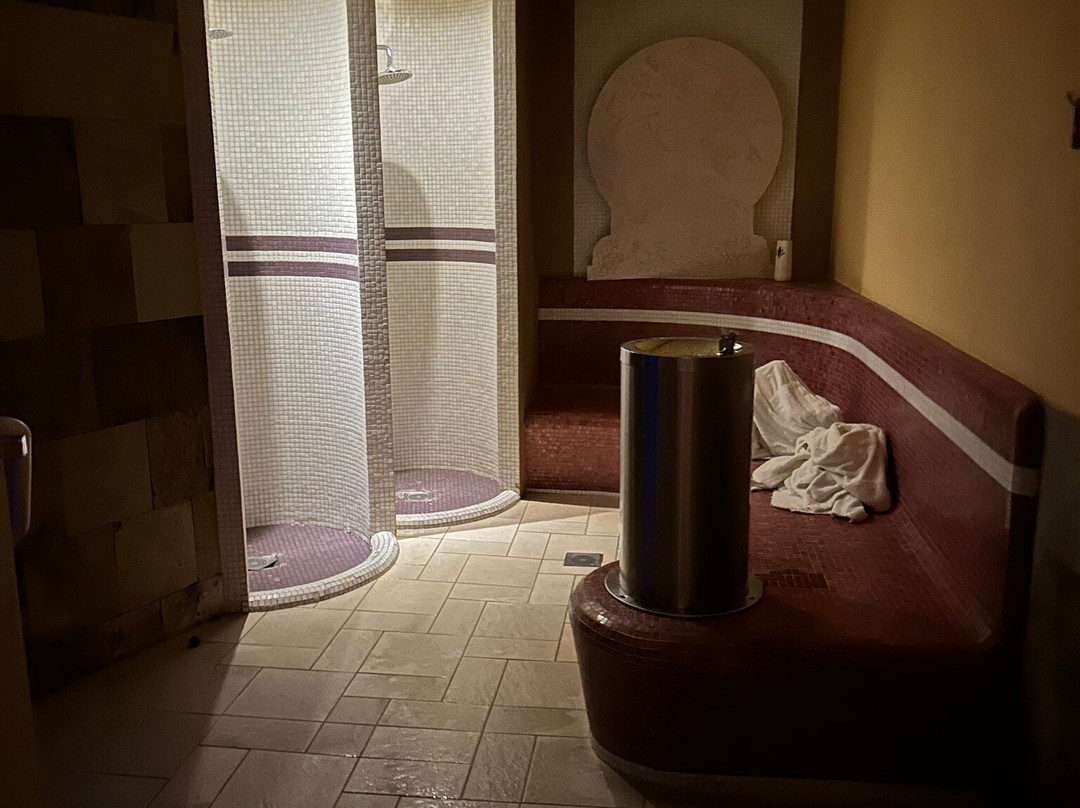 Hotel Magnus Trenčín主图