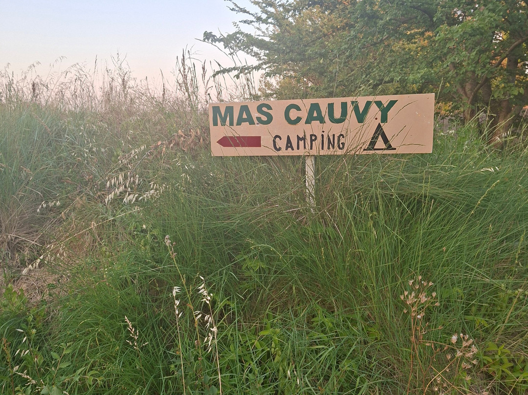 Camping du Mas Cauvy主图