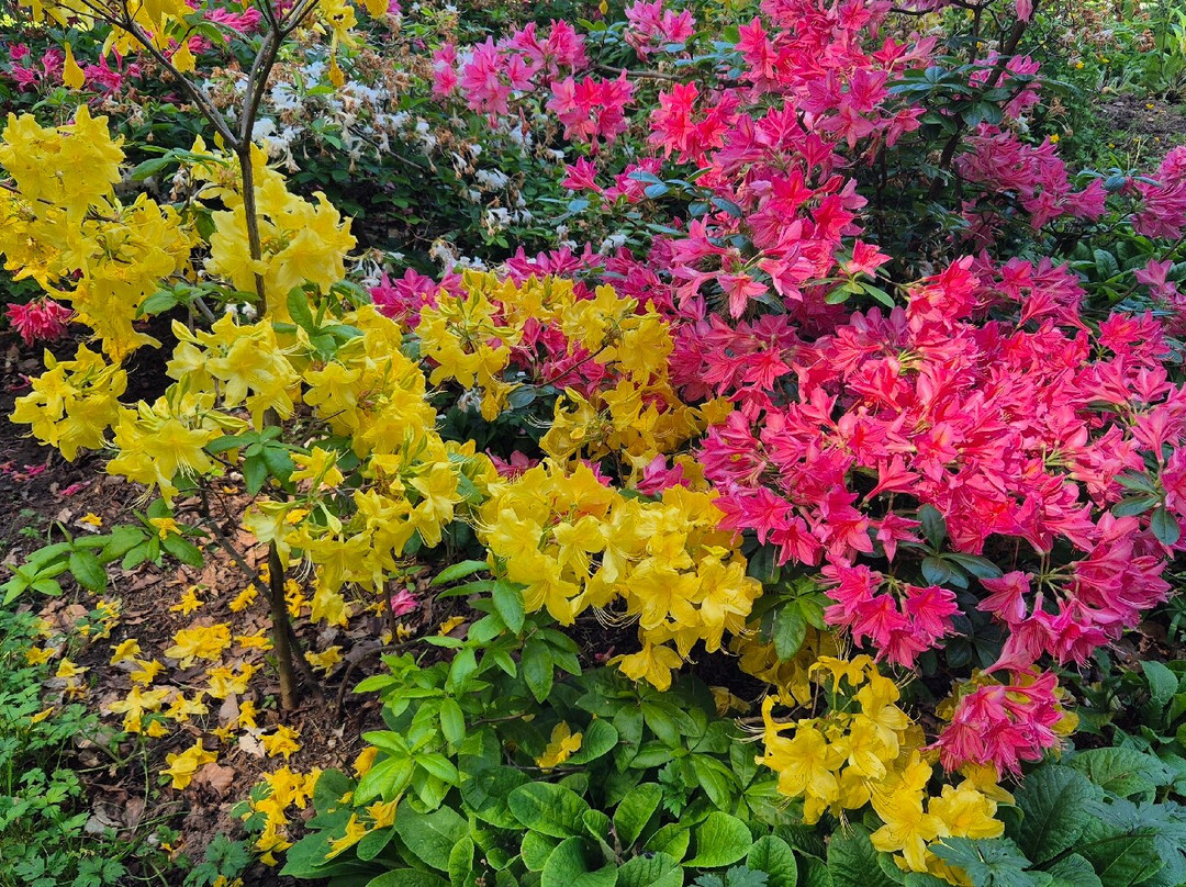Arley Arboretum & Gardens-Upper Arley必去景点