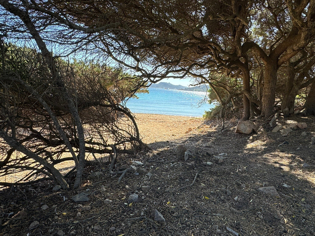 Spiaggia Porto Palma-Caprera必去景点