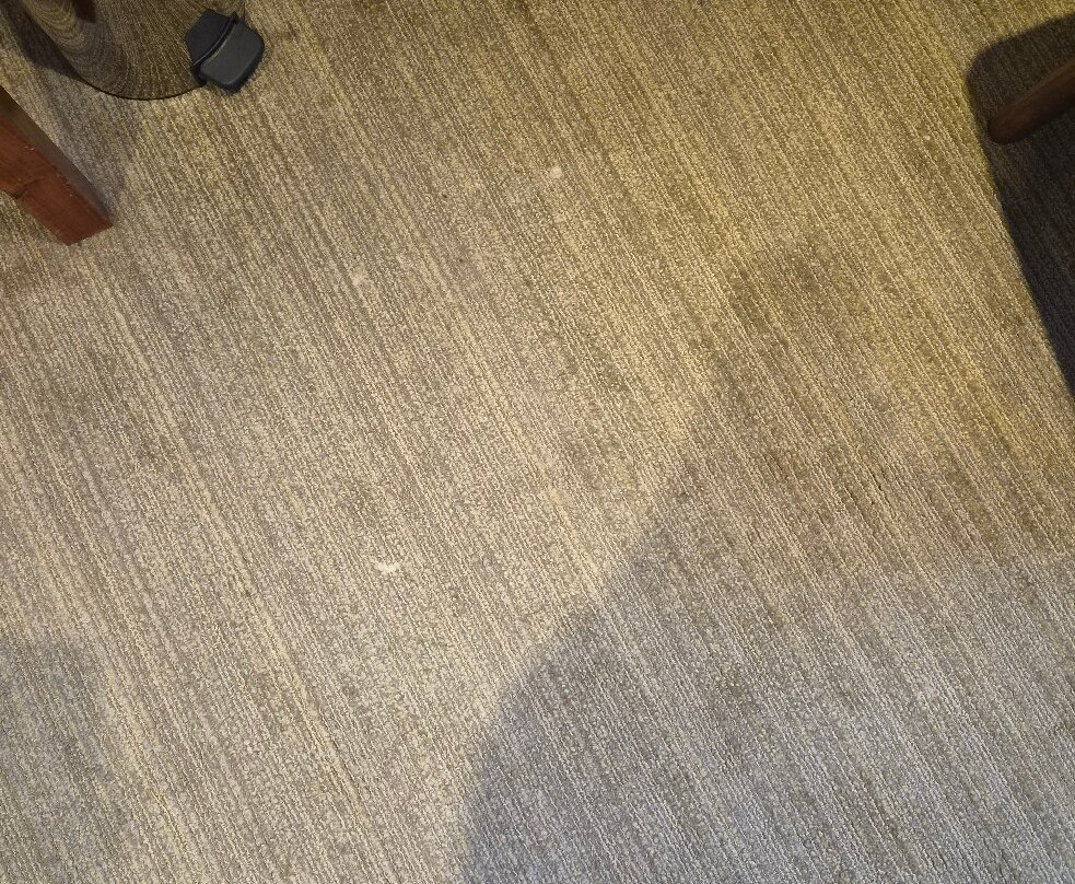 罗切斯城公园酒店主图