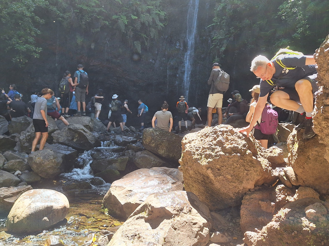 25 Fontes and Cascada da Risco-马德拉群岛必去景点