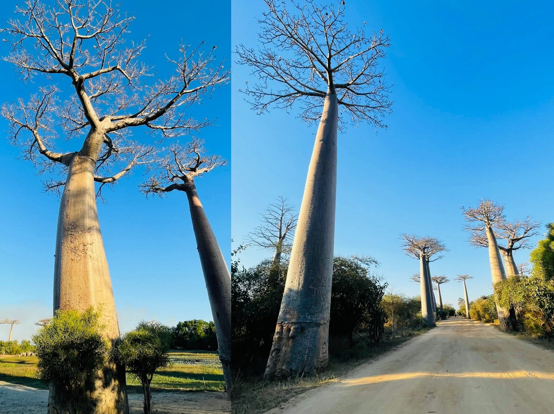 GMT+3 Great Madagascar Tours - Day Tours-安塔那那利佛必去景点