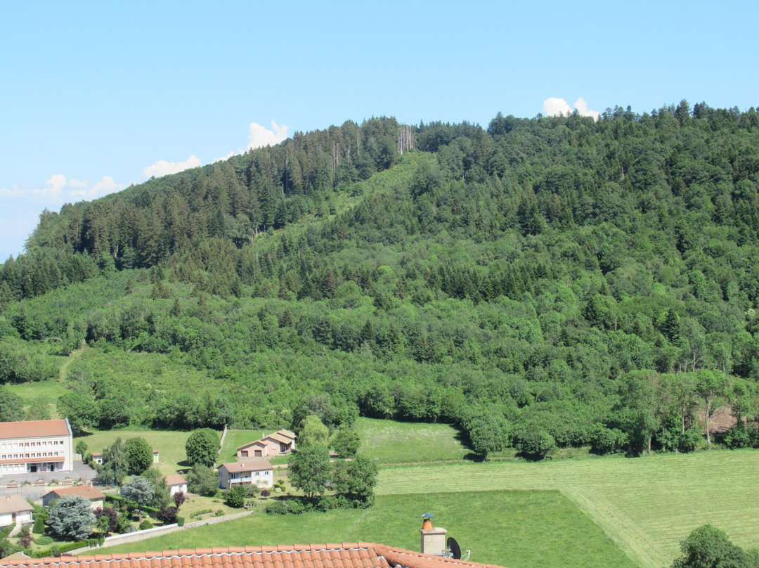 Ruines du château d'Allègre-Allegre必去景点