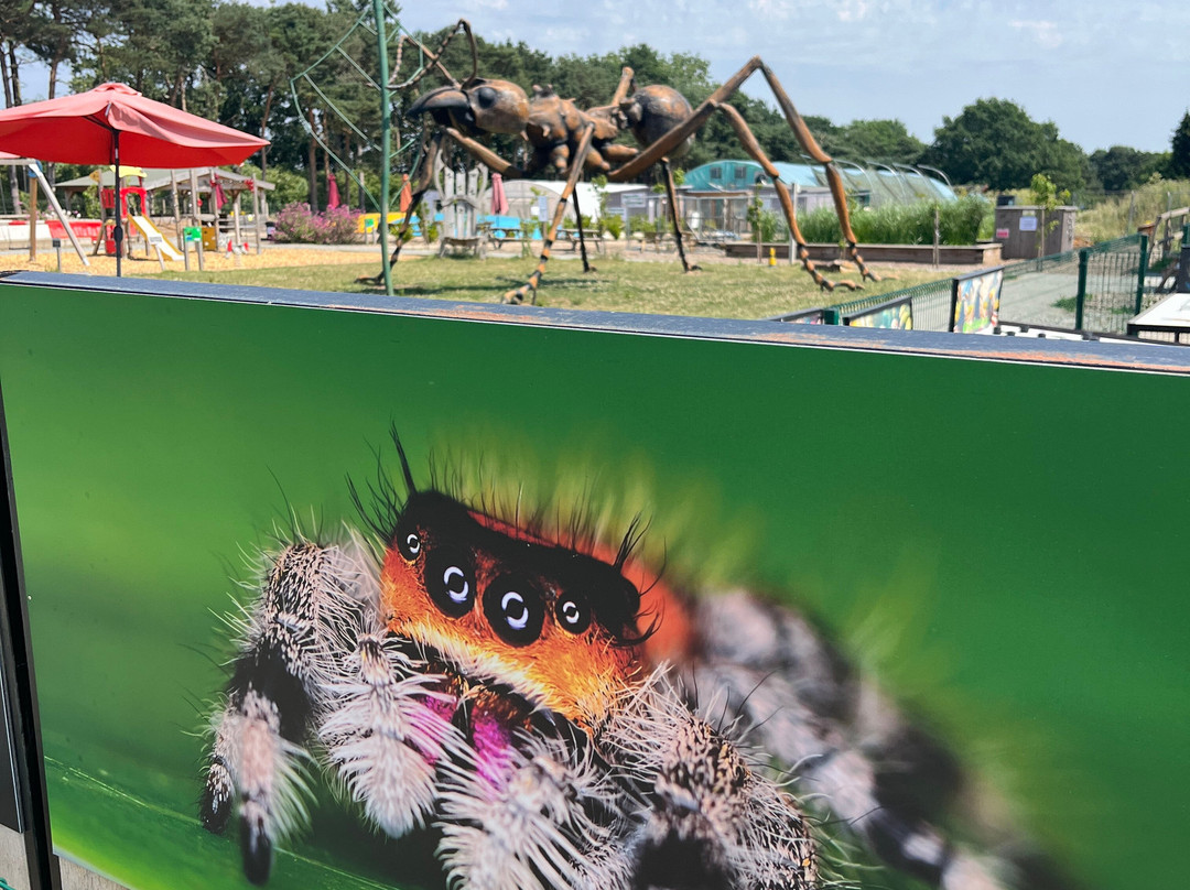 The Bug Parc-Lenwade必去景点