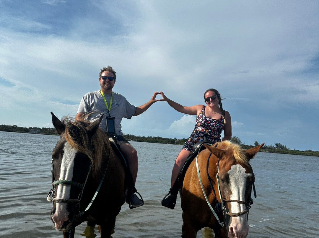 Florida Beach Horses-布雷登顿必去景点