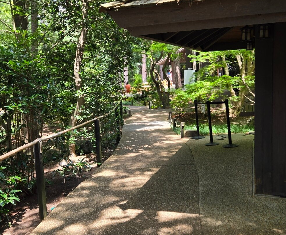 Garvan Woodland Gardens-温泉城必去景点
