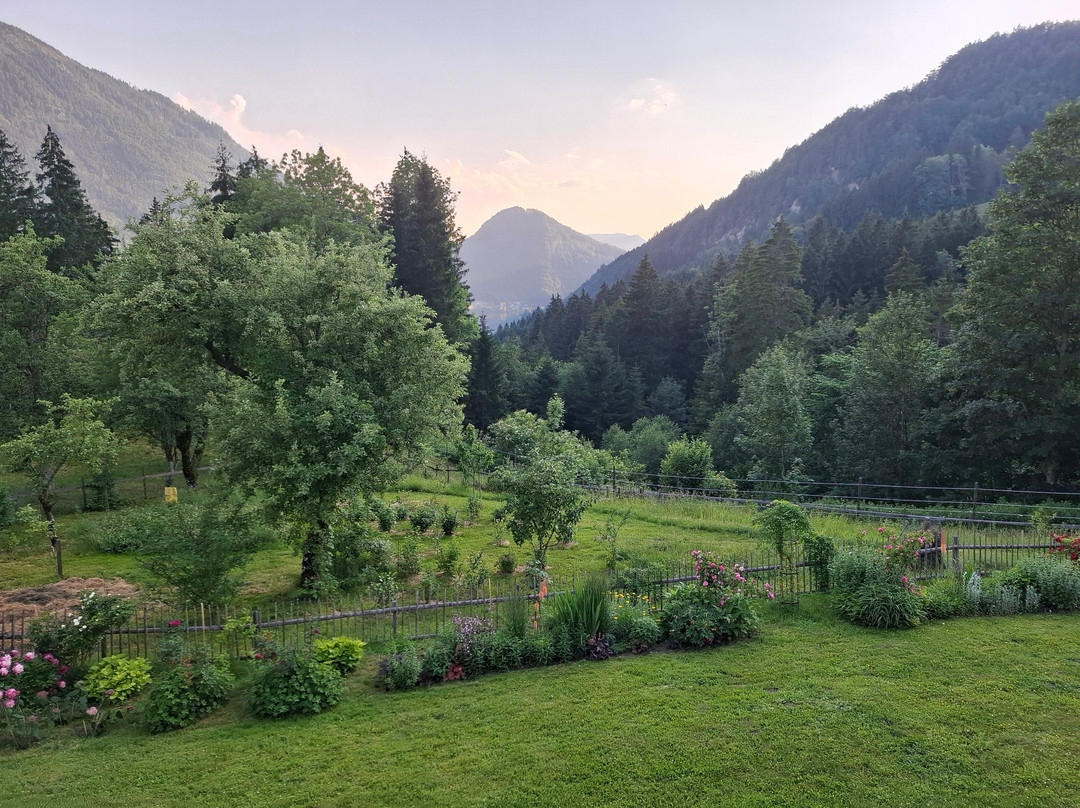 Charming Farm Retreat with Yoga & Ayurveda "Me Yoga Healing"-Lunz am See必去景点