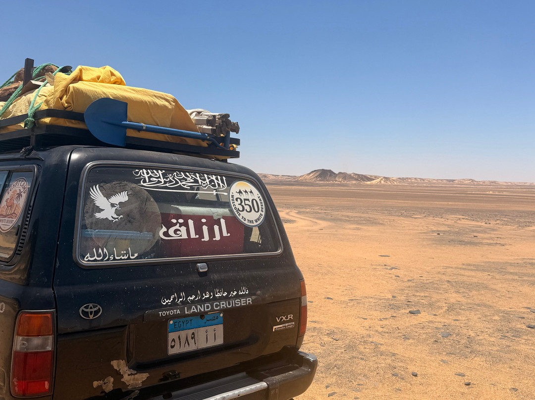 Egypt Camp White Desert-Bawiti必去景点