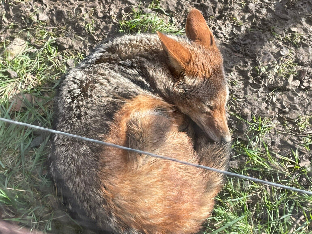 Hamerton Zoo Park-Sawtry必去景点