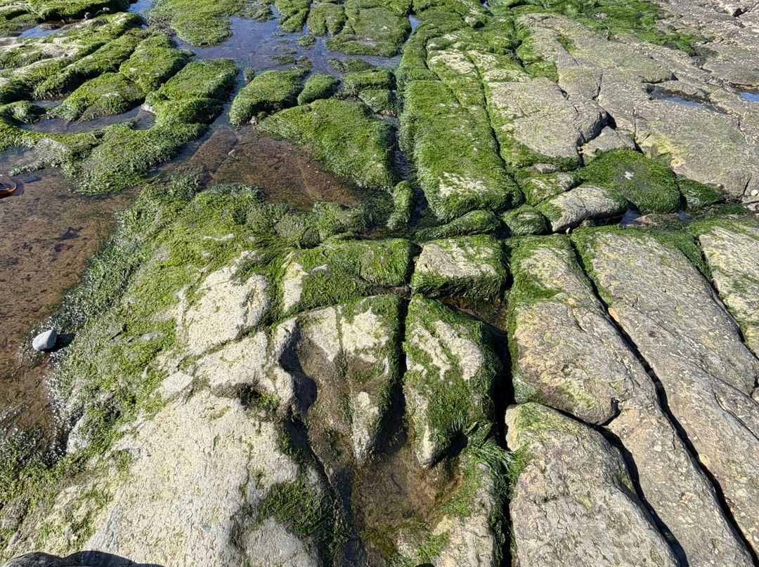 An Corran Beach-Portree必去景点