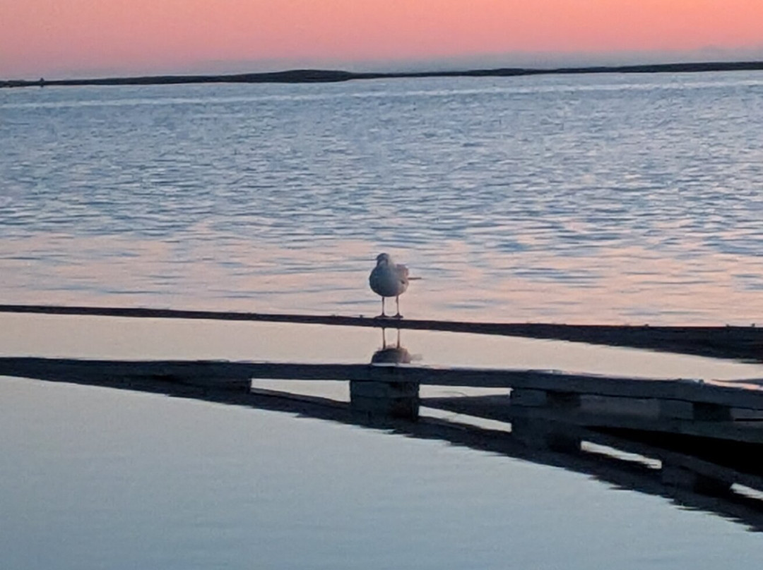 Lake Tyrrell-Sea Lake必去景点