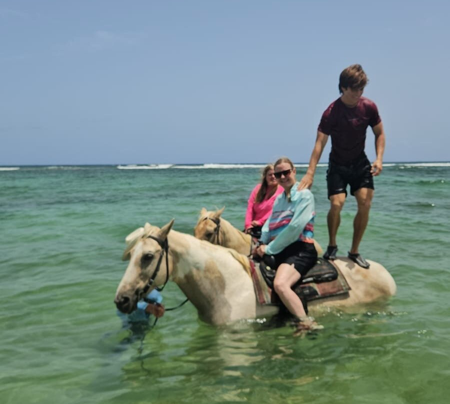 Equus Rides Horseback Riding St. Croix-Frederiksted必去景点