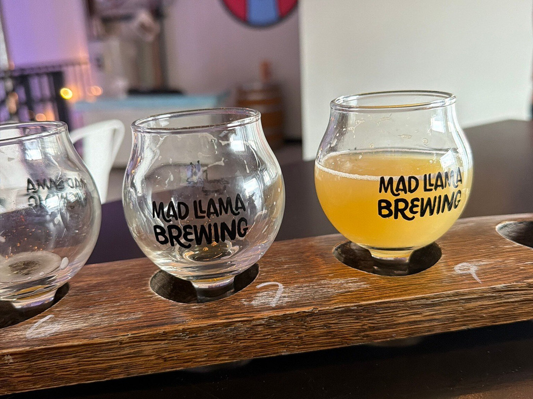 Mad Llama Brewing-斯普林必去景点