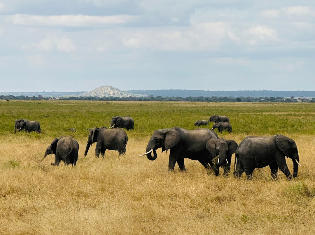 BADGER ADVENTURES TOURS & SAFARI-Arusha Chini必去景点