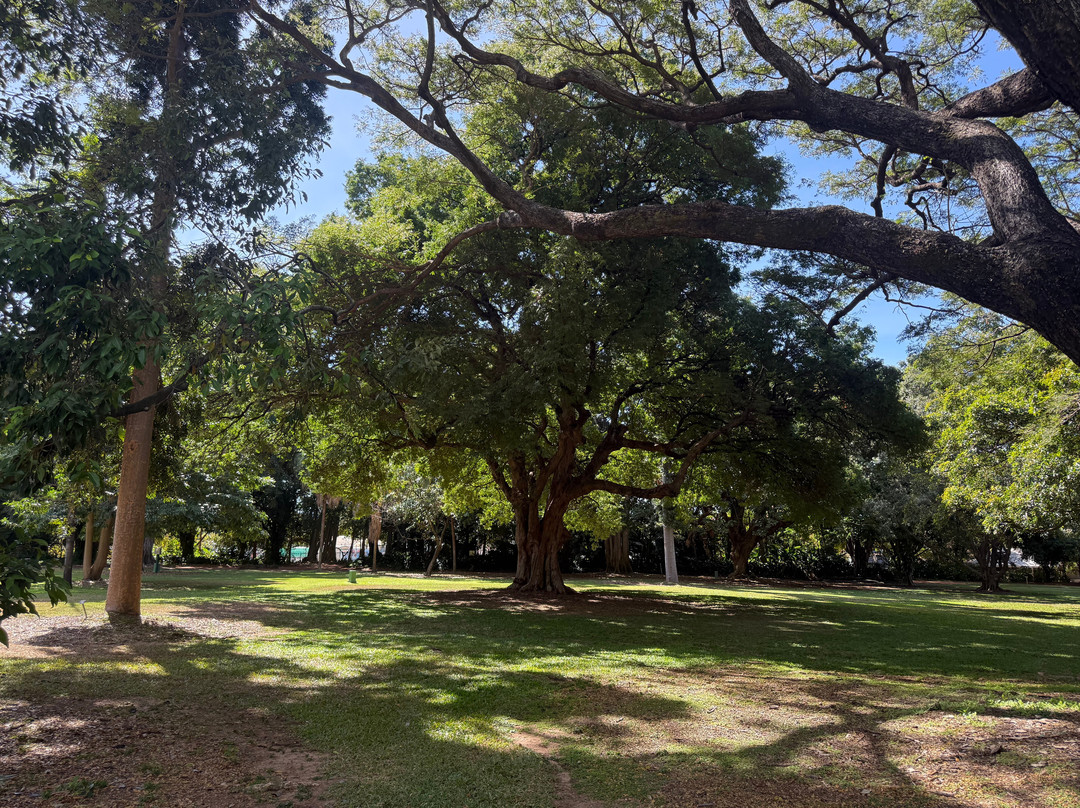 Queens Gardens Townsville-North Ward必去景点