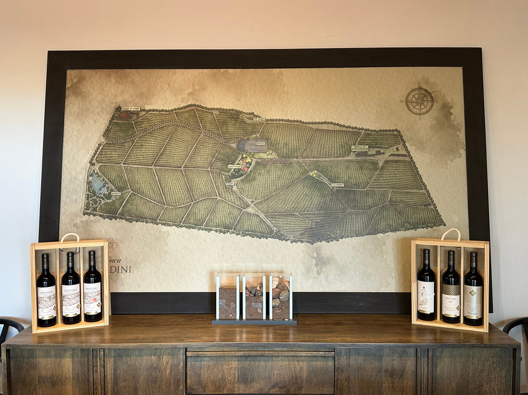Finca Bandini-路冉得库约必去景点