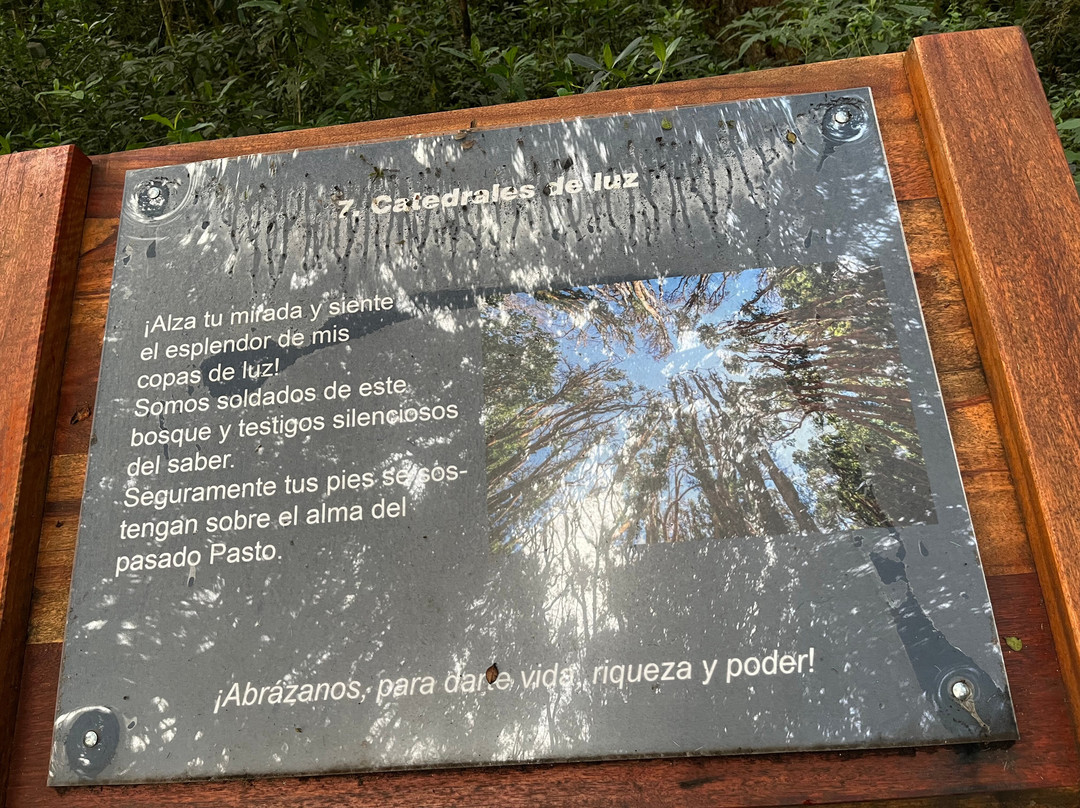 Bosque de los Arrayanes-Tulcan必去景点