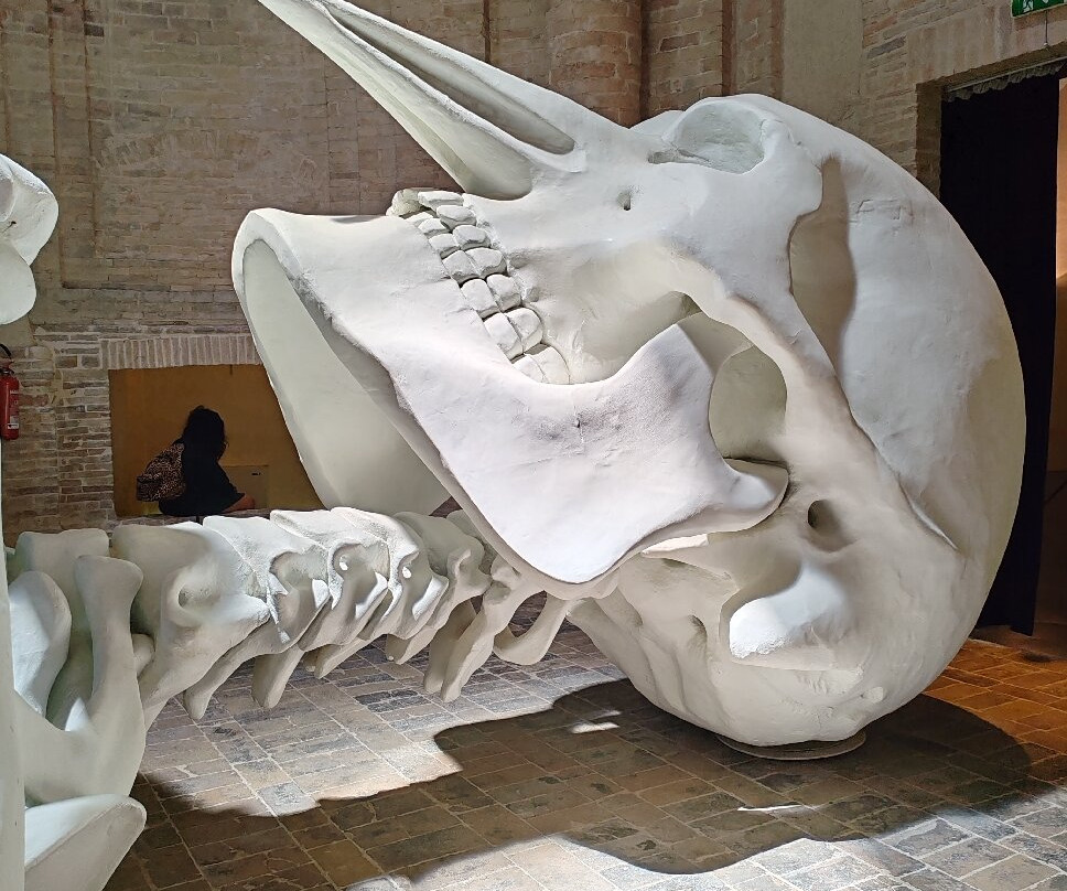 Calamita Cosmica - Centro Italiano Arte Contemporanea-福利尼奥必去景点