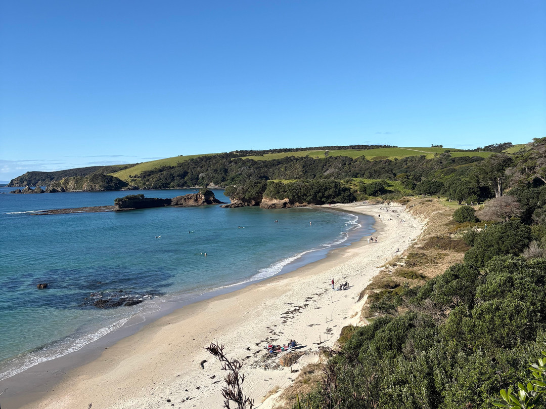 Tawharanui Regional Park-瓦卡沃夫必去景点