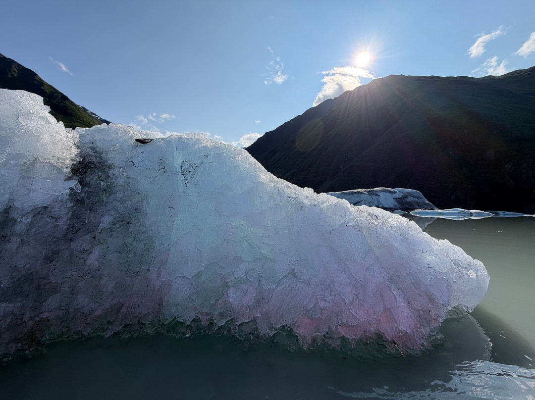 Alaska Guide Co-瓦尔迪兹必去景点